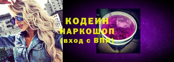 индика Аркадак