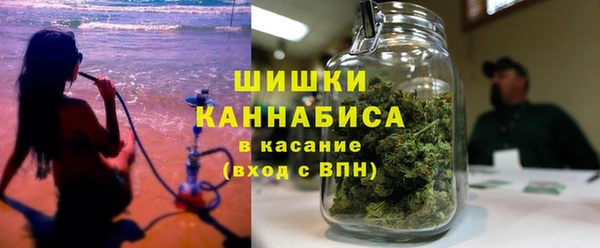 индика Аркадак