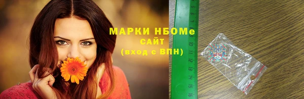 индика Аркадак