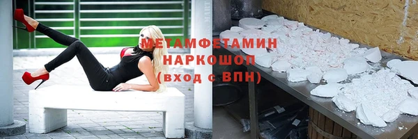 индика Аркадак