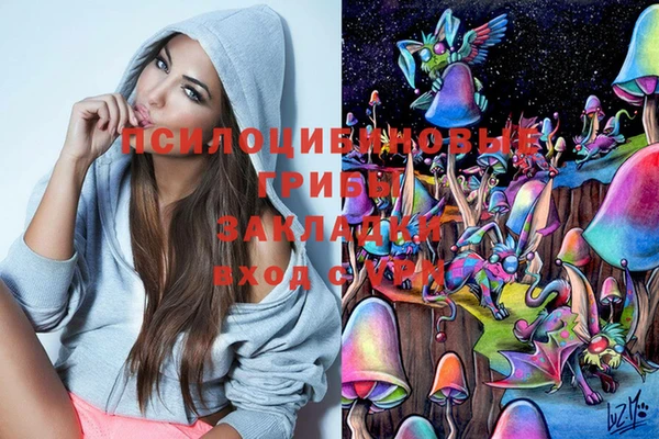 индика Аркадак