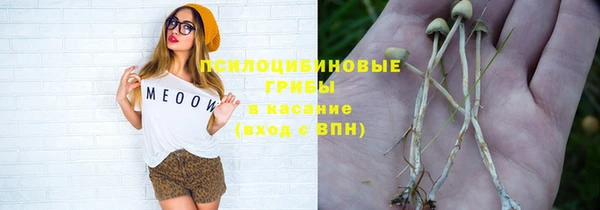 первитин Армянск