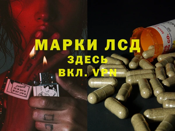 индика Аркадак