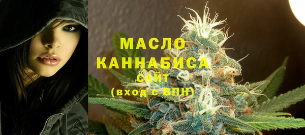 индика Аркадак