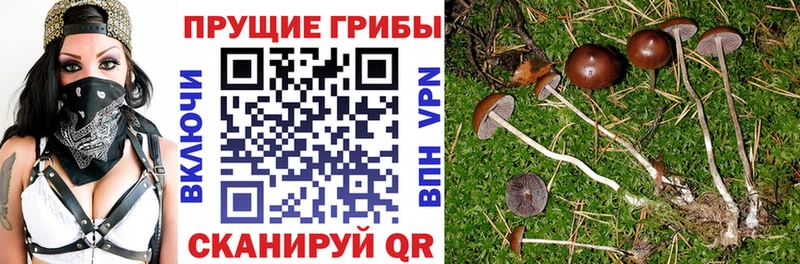 Галлюциногенные грибы Magic Shrooms  Нязепетровск 